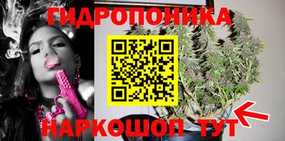 дмт Моздок